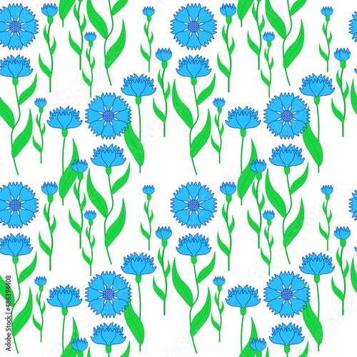 Floral pattern of blue cornflowers