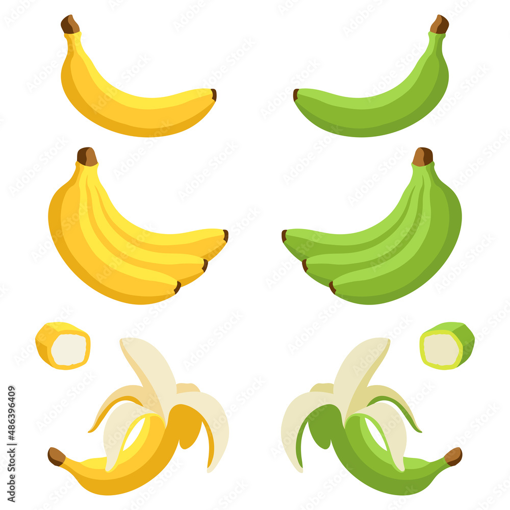 Set of yellow and green bananas. Whole, peeled and sliced bananas. Cartoon flat style. Vector illustrations isolated on a white background.