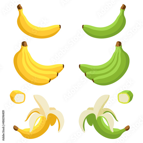 Set of yellow and green bananas. Whole, peeled and sliced bananas. Cartoon flat style. Vector illustrations isolated on a white background.