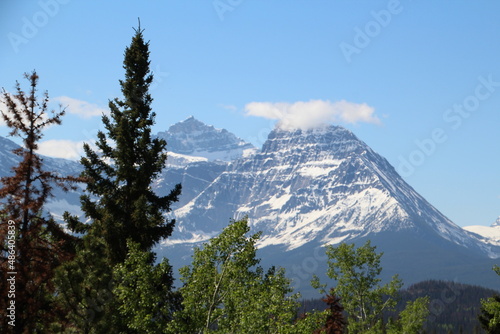 The Spring Peaks, Jasper National Park, Alberta