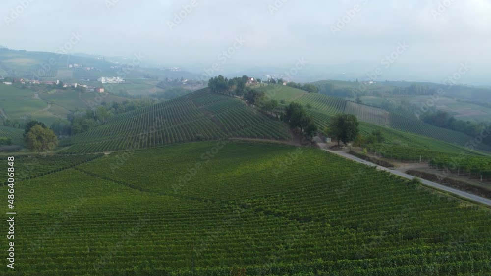 Langhe aerial view, vineyard agriculture in Piedmont Italy, Piemonte Langhe aerial view, vineyard agriculture in Piedmont Italy, Piemonte