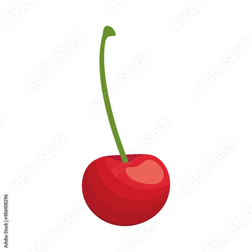 fresh cherry fruit