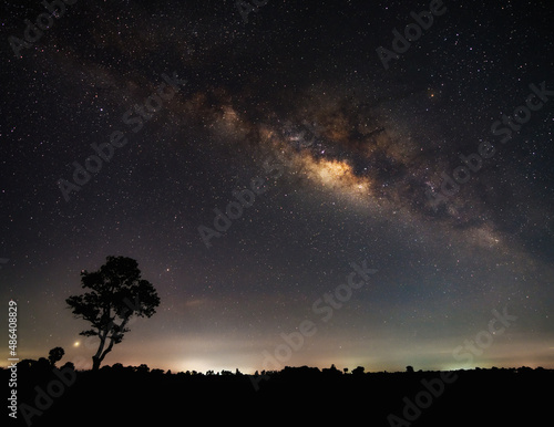 blue night sky milky way, star on dark background shadows of trees and meadows. with noise and grain.selection focus.
