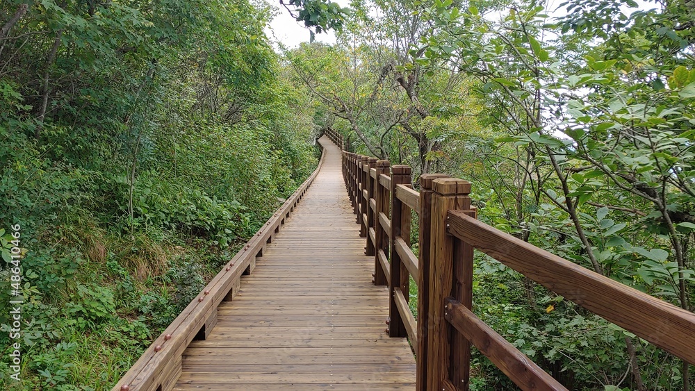 A wooden hiking trail that continues to stretch over the mountain.