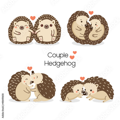 Set of Cute couple Hedgehog fall in love. Hand drawn cartoon animal character.