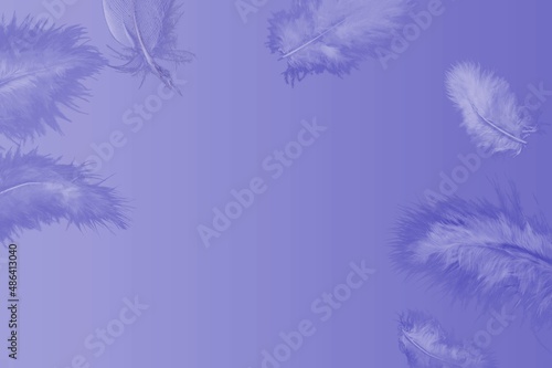 The trending color of the new year is very peri. Light feathers on a purple background. Fashion color 2022. © BillionPhotos.com