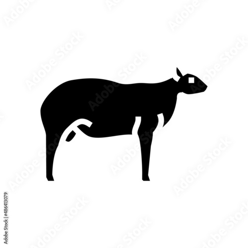 texel sheep glyph icon vector. texel sheep sign. isolated contour symbol black illustration