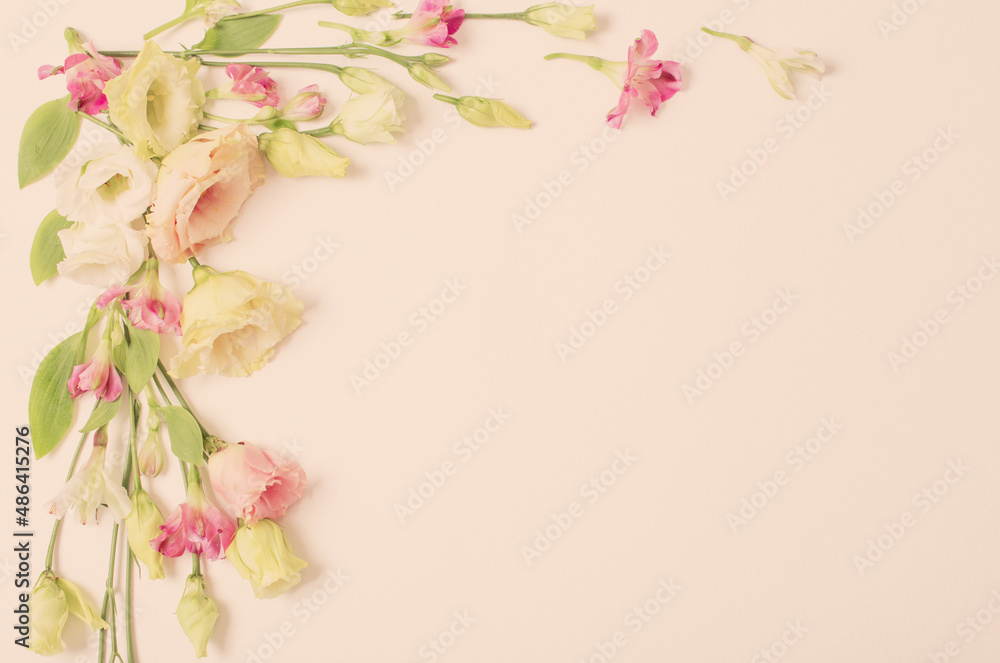 Fototapeta premium spring beautiful flowers on paper background
