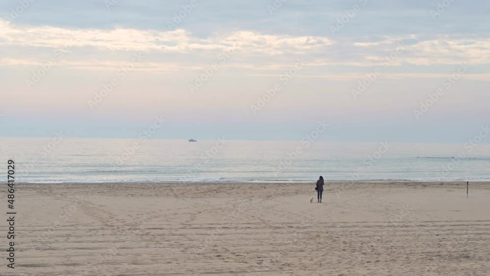Adult woman walking out a small Maltese dog on the beach on a cloudy day Adult woman walking out a small Maltese dog on the beach on a cloudy day