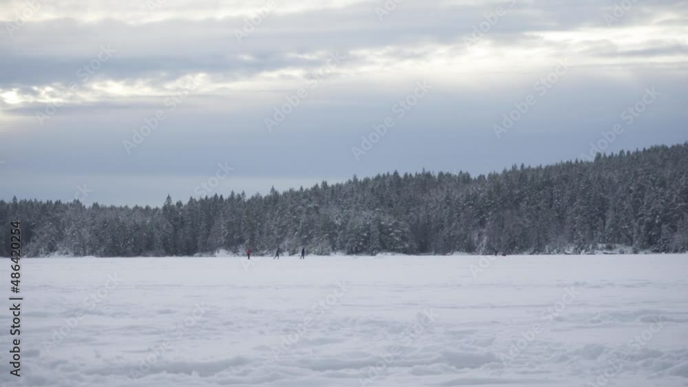 Distant View Of People Cross Country Skiing In Scandinavian Winter Forest. Wide Shot Distant View Of People Cross Country Skiing In Scandinavian Winter Forest. Wide Shot