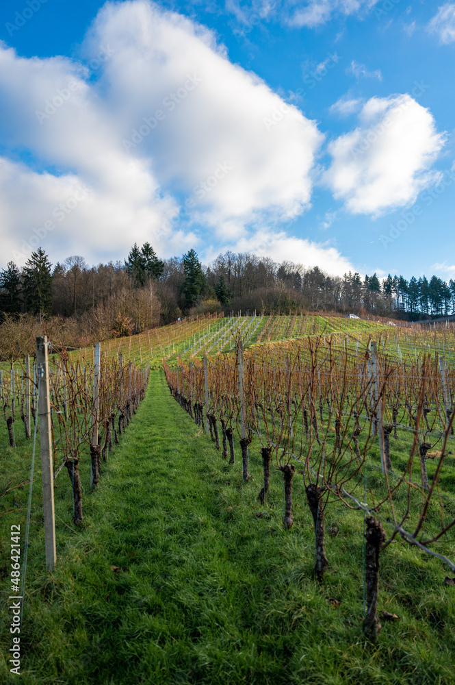 Fototapeta premium Achern und Umgebung