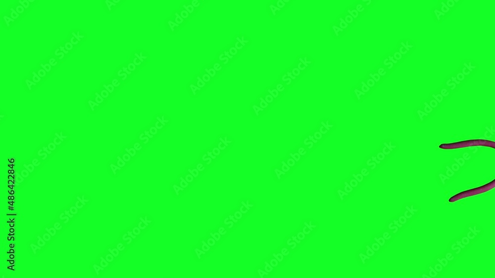 Animation of used plier tool, stop motion, chroma key graphic source elements. Animation of used plier tool, stop motion, chroma key graphic source elements.