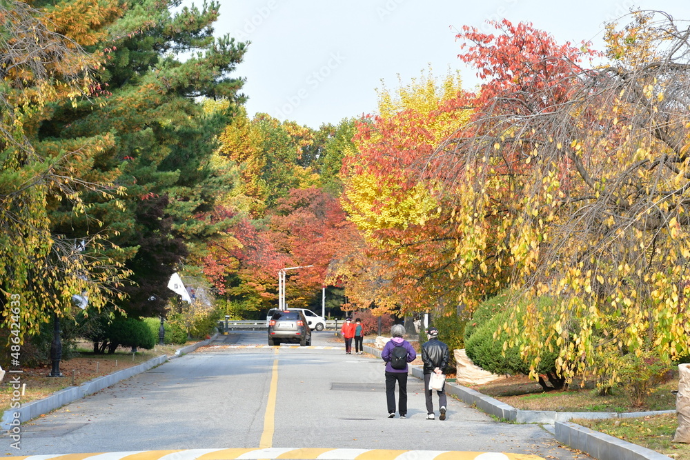 풍경