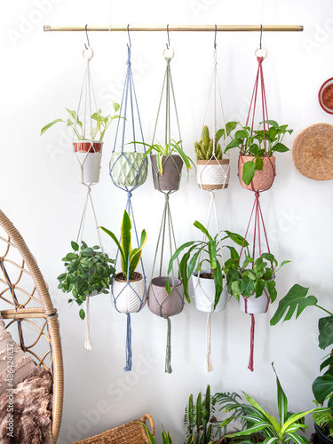 Multiple macrame plant hangers with indoor houseplants and pot planters are hanging from a metal pole. Boho basket wall decor and wicker egg chair are use to add character to the cozy bohemian room.