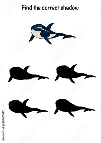 Set of underwater world animals 