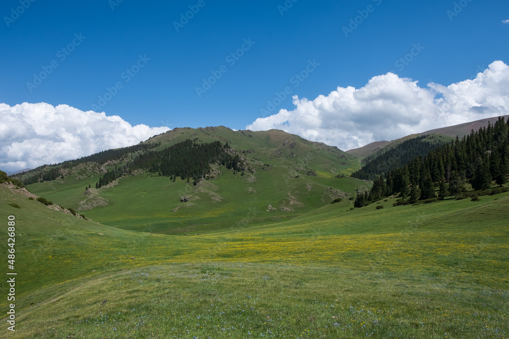 Beautiful green mountains with cloudy sky on background in spring season. Mountain valley landscape. Colorful scenery.