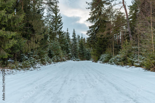 Empty snow covered road in winter landscape.Snowy Road through a forest Landscape in Winter Cloudy Day.