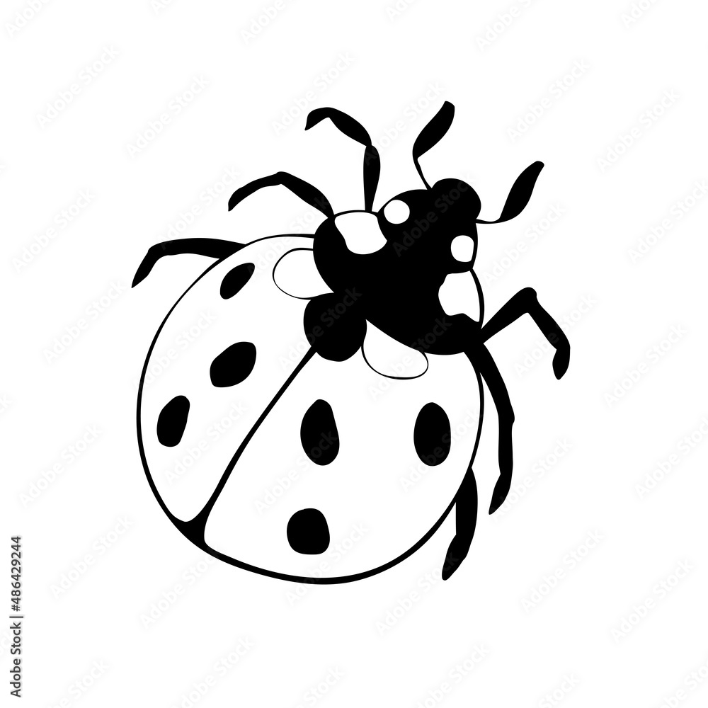 Obraz premium Vector black outline ladybug in doodle style. Cute insect, isolated. Top view. Clipart, design element on theme of nature, spring, summer