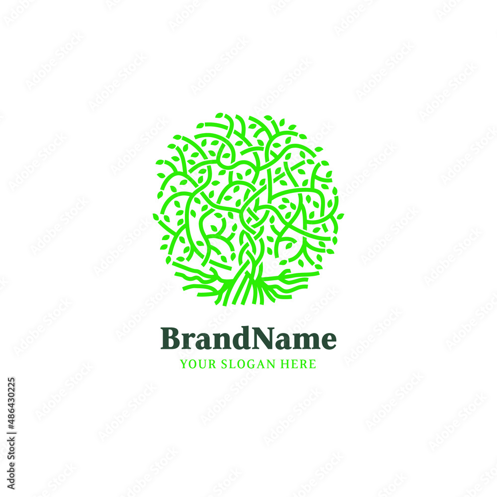 The Tree of Knowledge, Celtic Knot Tree, Branch, Leaves and Root Logo Vector Design