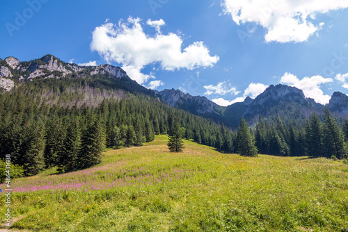 Podhale and Tatra Mountains. Photos was taken in summer. Poland, Malopolskie   © johnkruger1
