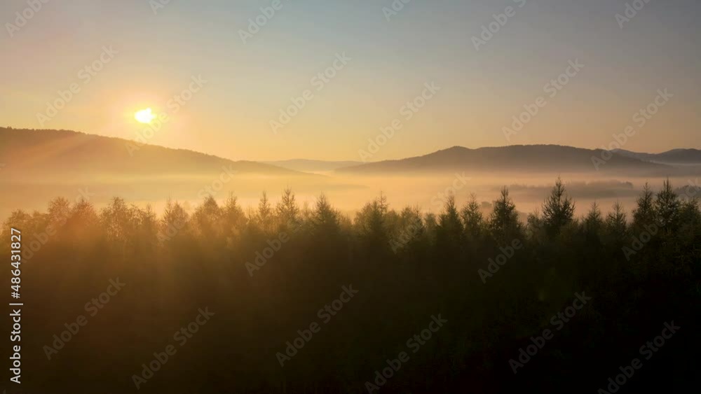Aerial trucking shot over the treetops showing beautiful sun rays in a morning fog Aerial trucking shot over the treetops showing beautiful sun rays in a morning fog