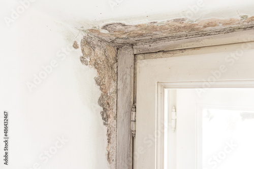 mould and fungus on wall near window. The problem of ventilation, dampness, cold in the apartment.
mold on the wall near the window.
