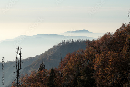Autumn forest in the mountains in the middle of fog and clouds