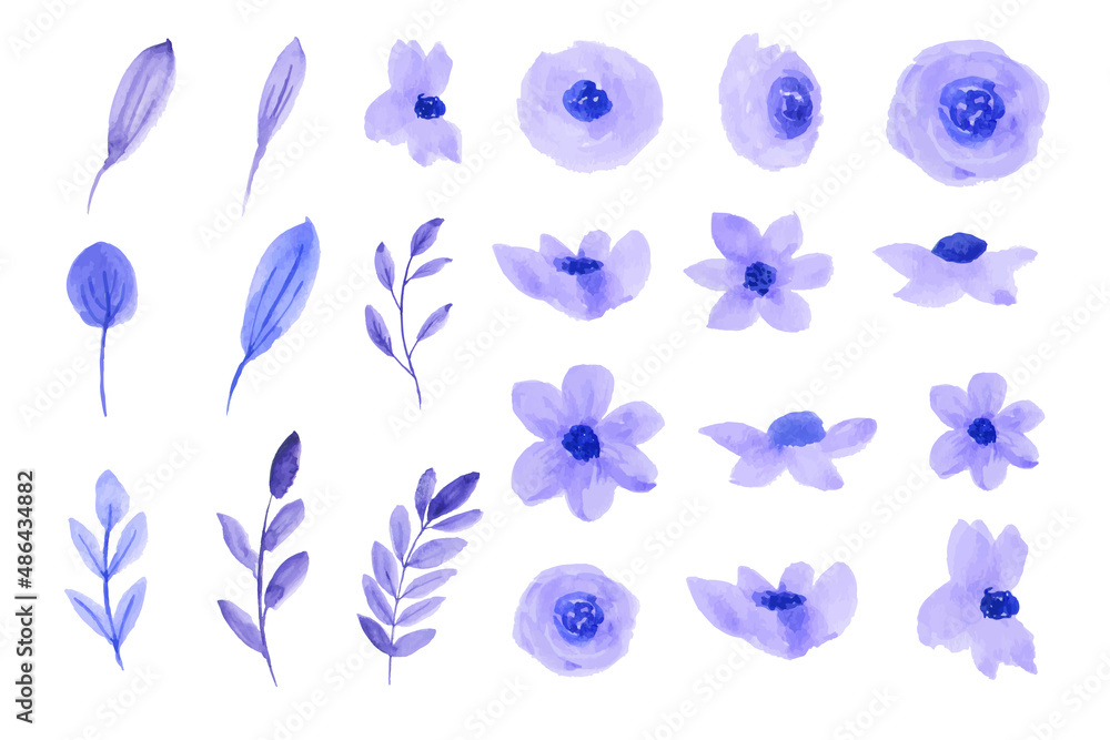 Set blue flowers and leaf watercolor Set blue flowers and leaf watercolor