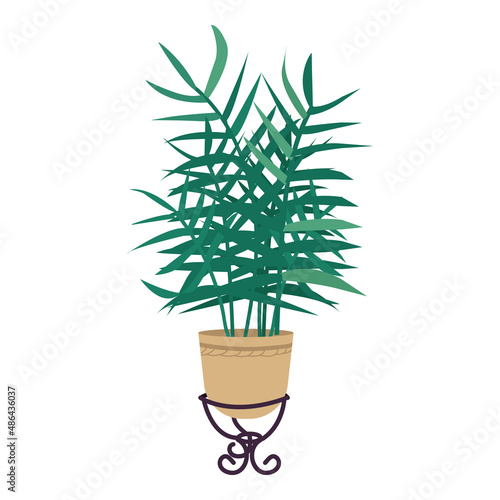 Parlor palm in pot semi flat color vector object. Full sized item on white. Home garden. Ornamental houseplant simple cartoon style illustration for web graphic design and animation