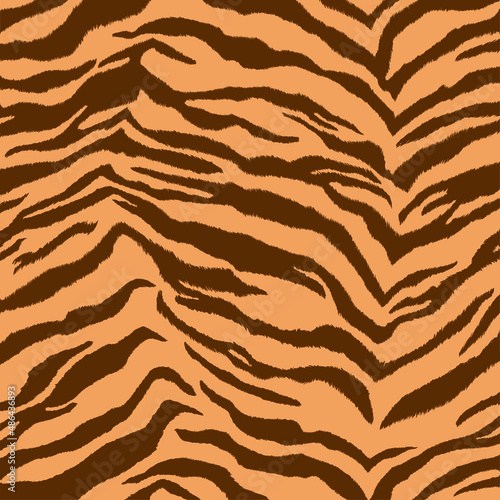 Tiger skin pattern and texture