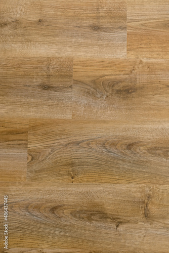 Wood background  wood texture  wood surface