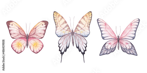 watercolor butterflies hand drawn illustrations, isolated elements on white background © Kro_Artist