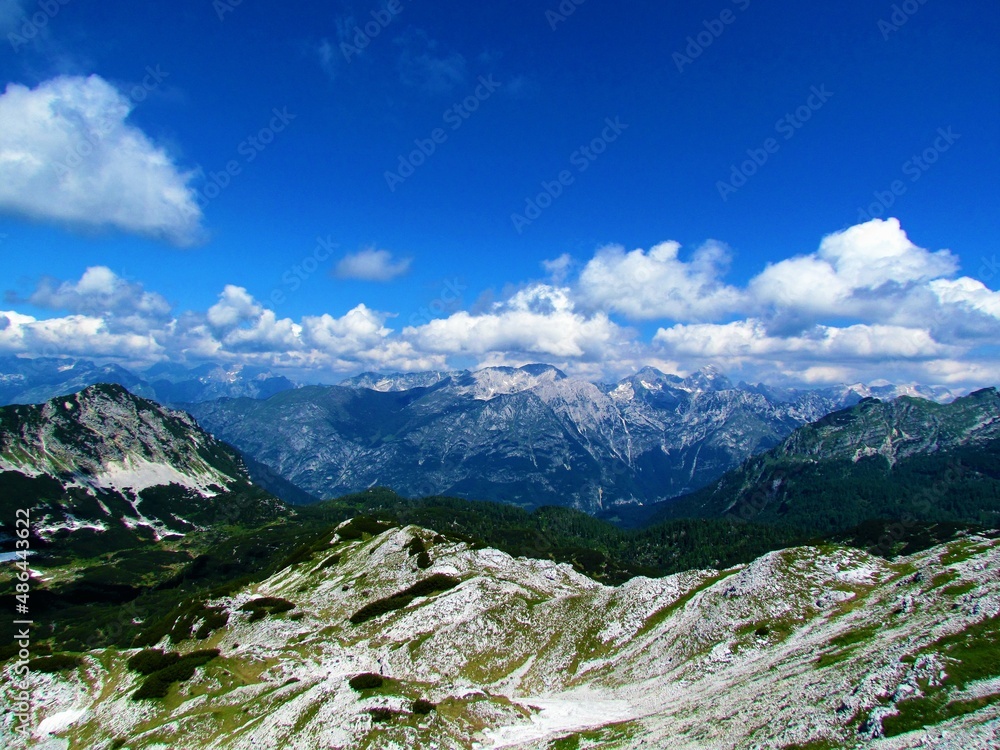 Scenic view of the mountains above Trenta valley in Julian alps and Triglav national park in Slovenia with alpine landscape covered with creeping pine and larch forest in front