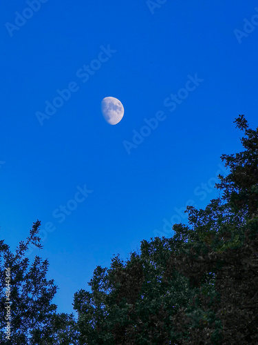 blue sky and half moon