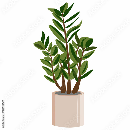 tree isolated on white background