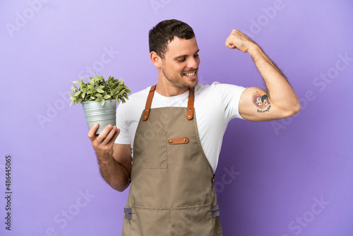 Brazilian Gardener man holding a plant over isolated purple background doing strong gesture