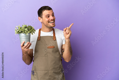 Brazilian Gardener man holding a plant over isolated purple background intending to realizes the solution while lifting a finger up