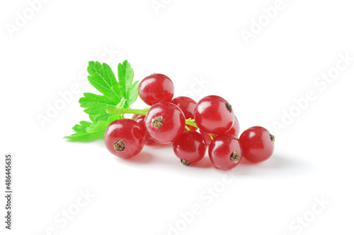 Berries of ripe tasty red currant isolated on white background. red currant with a leaf. a slide of red currants. Red currant berries with leaf isolated on white background.