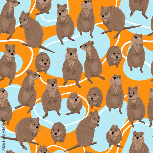Quokka seamless pattern. Short-tailed scrub wallaby Setonix brachyurus in different poses. realistic vector animal