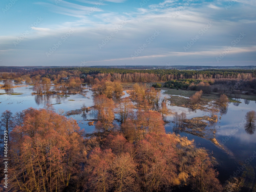 Fototapeta premium Floods and inundations during spring thaws from a small river.