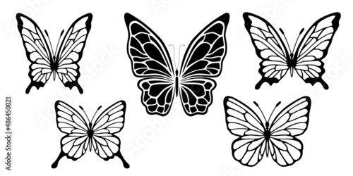 Butterfly silhouette. A set of silhouettes of butterflies on a white background © Mastr