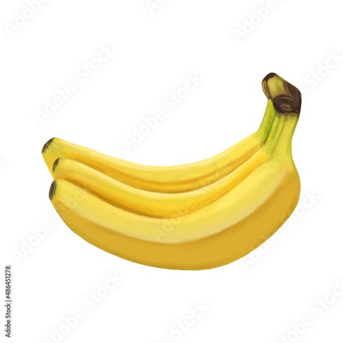 Banana. Berry. Vector. Graphics. Realistic yellow banana. Multilayer. Banana bunch, edible plant. Palm tree. Painted by hand.
