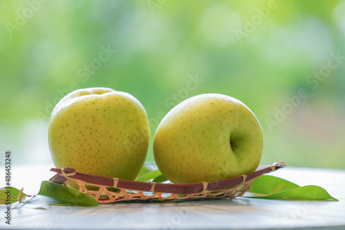 Fresh Yellow Apple in wooden basket, Golden yellow Ohrin Apple in the basket over green natural Blur background.