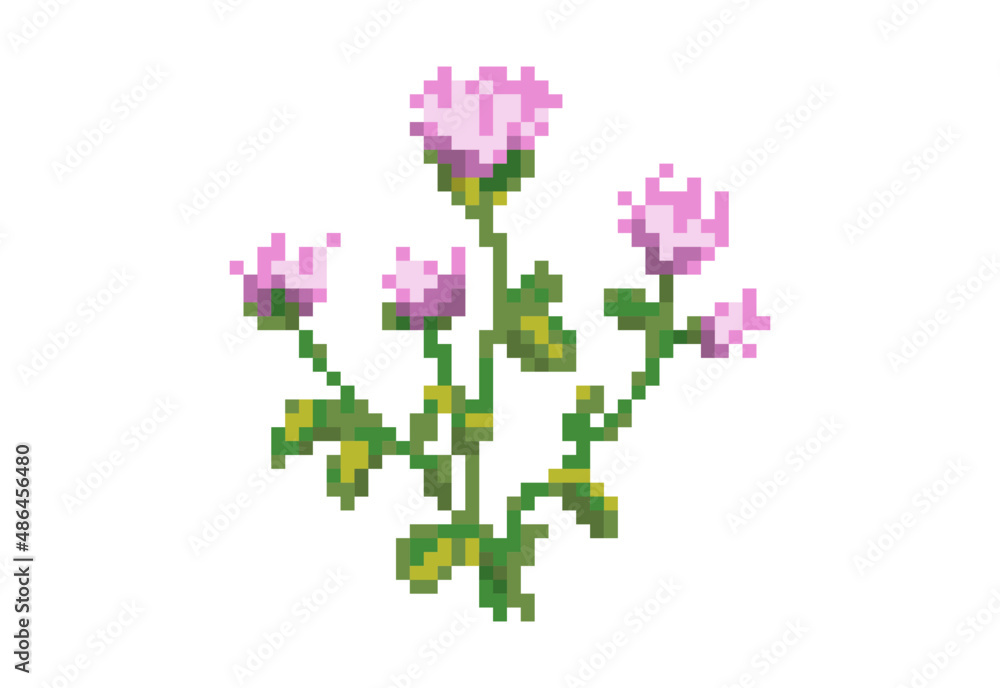 Illustration of a clover flowers in pixel art style Illustration of a clover flowers in pixel art style