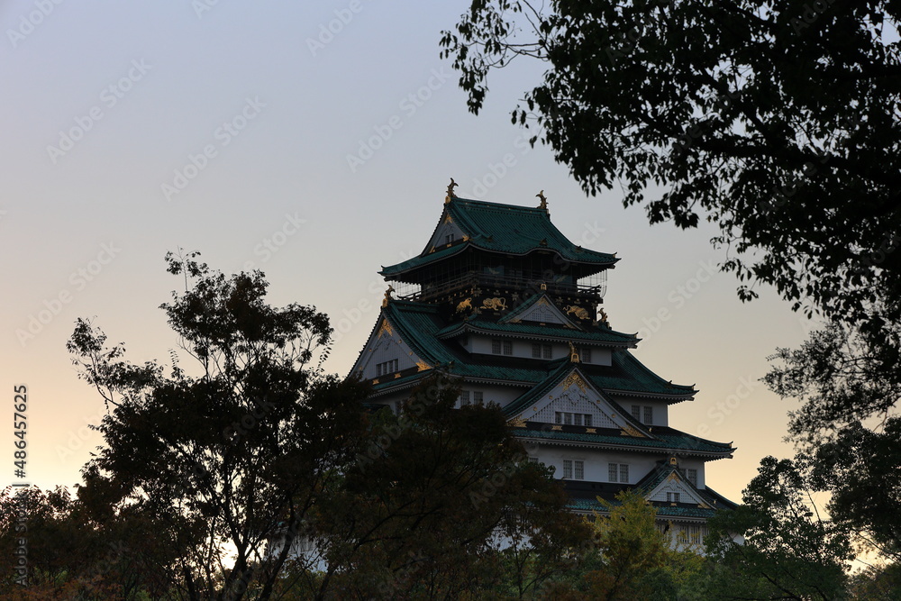Fototapeta premium 大阪城 大阪 日本