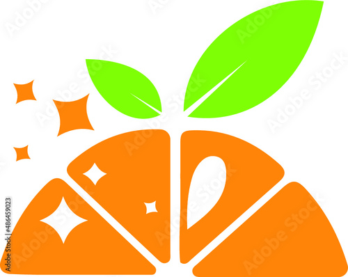 Orange Fruit logo for your company