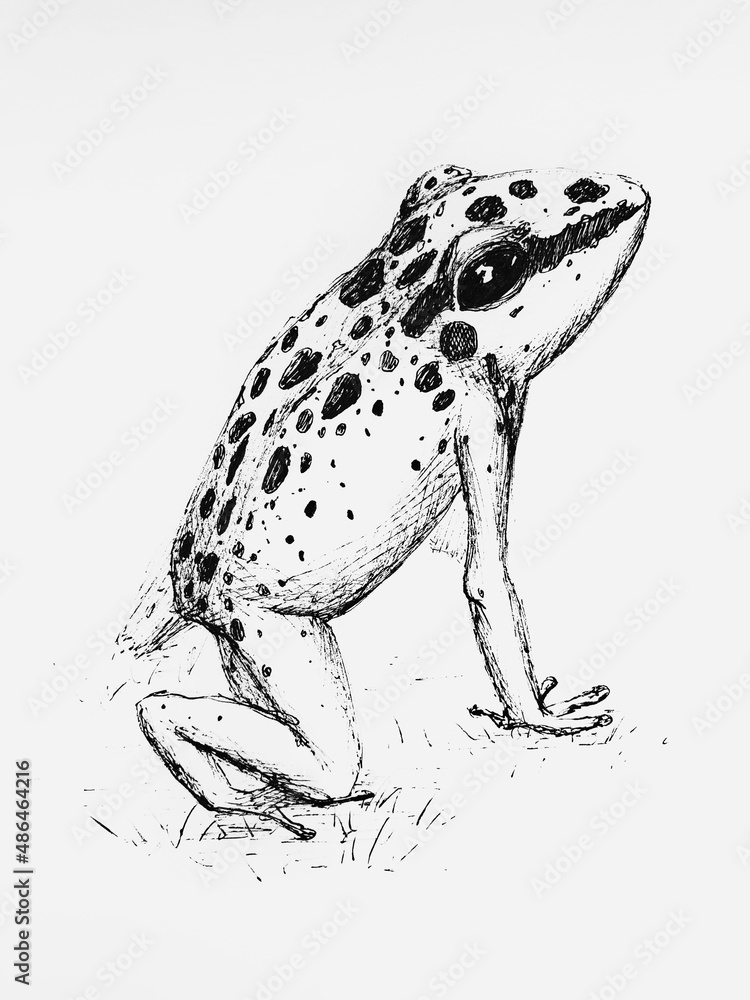 Naklejka premium Ink frog on white background 