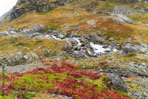 Beautiful landscape in Norway in fall 2021.