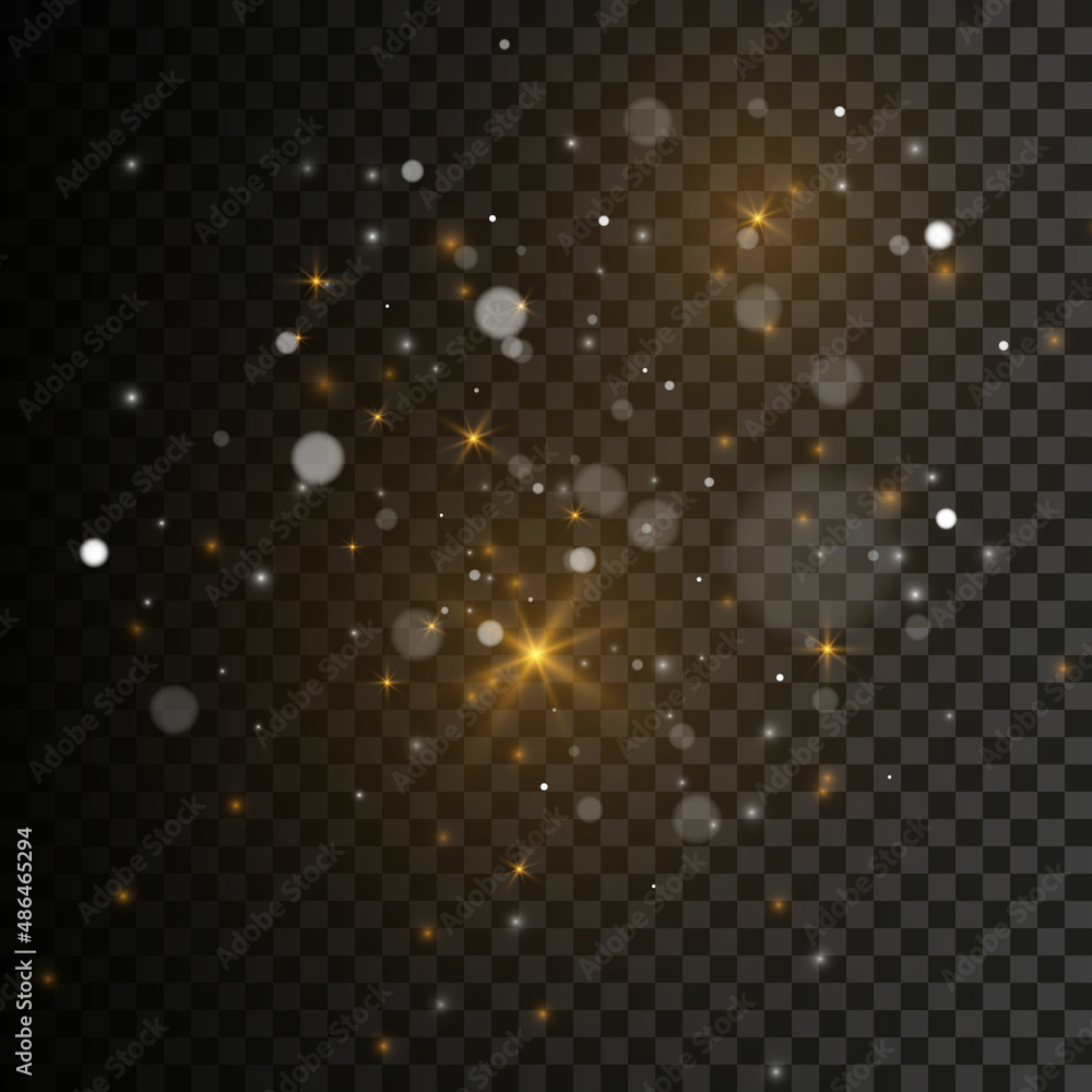 Sparkling magical dust particles. The dust sparks and golden stars shine with special light on a black background. Christmas concept. Sparkling magical dust particles. The dust sparks and golden stars shine with special light on a black background. Christmas concept.