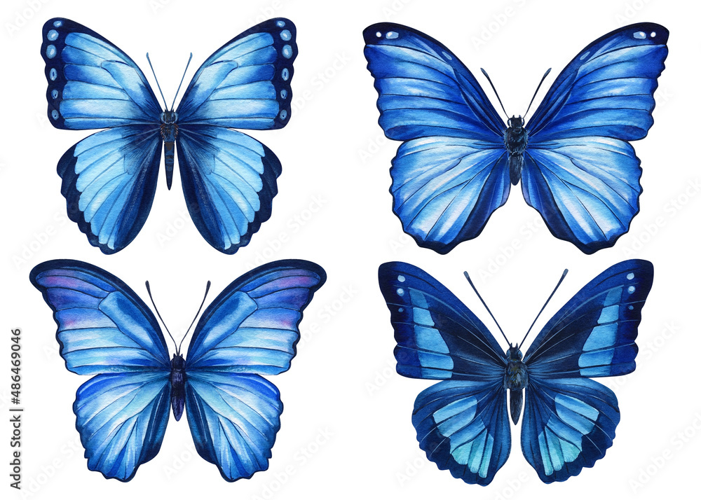 Obraz premium Watercolor colorful butterflies isolated on white background. Spring blue butterfly illustration.